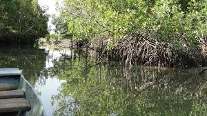 Bintang Bolong/Sibanor